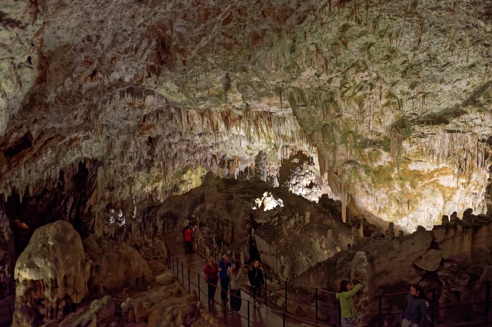 A lit chamber in Postojna Cave: dense pale stalactites over a paved path with railings and a few visitors.