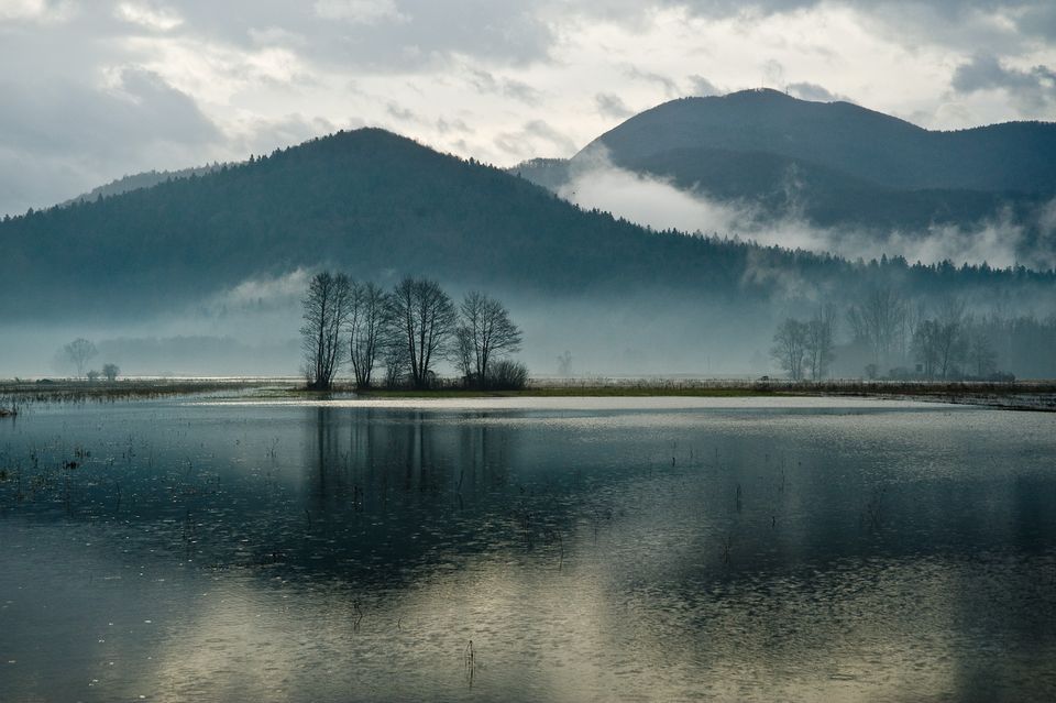 Ljubljana Marshes in winter: a clump of bare trees on a flooded meadow, misty wooded hills behind, all mirrored in still water