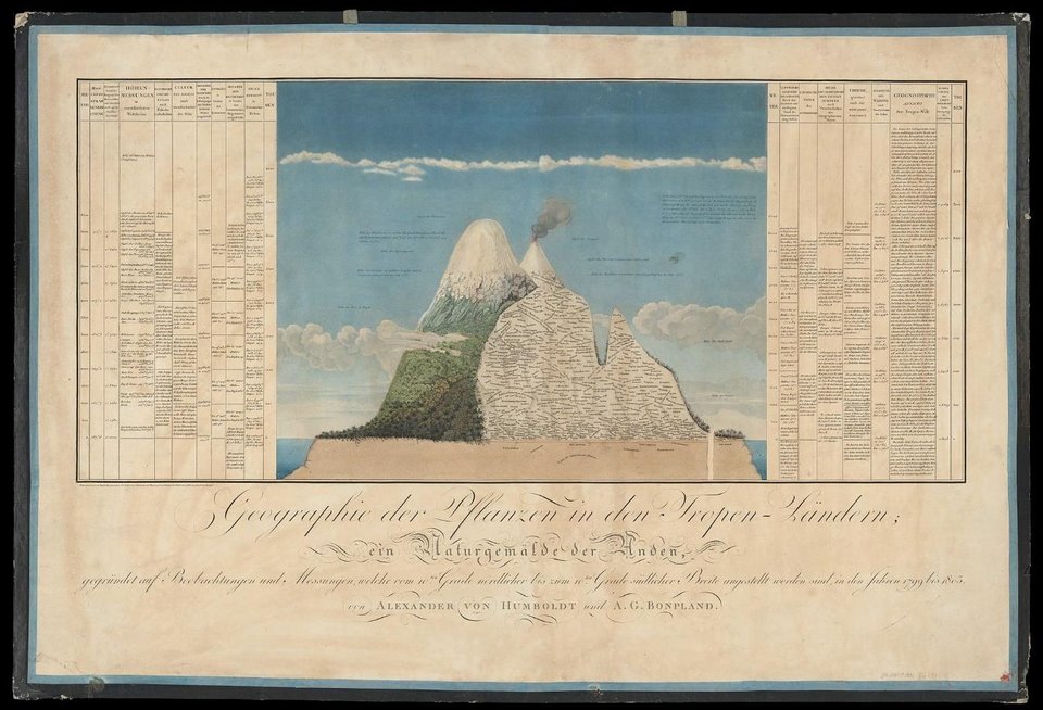 Humboldt’s Naturgemälde: a coloured cross-section of Chimborazo with plant names, flanked by columns of data.
